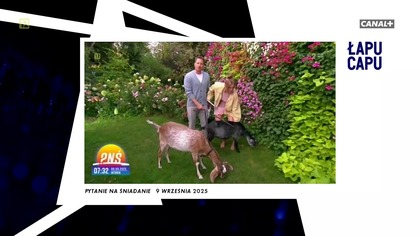 Łapu Capu (11 września 2025)