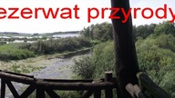 Rezerwat przyrody Jezioro Drużno 18 08 2013