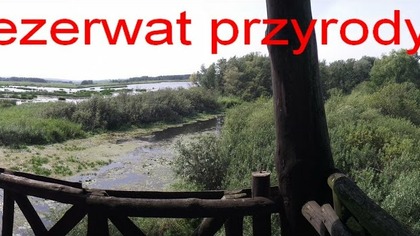Rezerwat przyrody Jezioro Drużno 18 08 2013