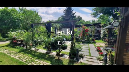 Posadziłem clematisa Mystic River * 13. 03. 2026