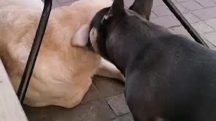 4a39db7d-6051-4e58-8632-a6ca50d0db73