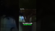 Przerażające zjawisko o 3 nad ranem!