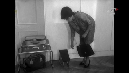 Zbrodniarz i panna (1963)