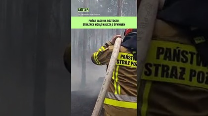 Na Lubelszczyźnie wciąż się pali.  Tak służby walczą z żywiołem #shorts