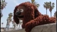 The Muppets: Skateboarding Dog Gets Served!ENG