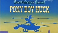 Pies Huckleberry 29 Ekspresowy Huck