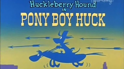 Pies Huckleberry 29 Ekspresowy Huck