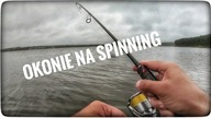 Okonie na spinning // łowienie z brzegu // sierpień 2021