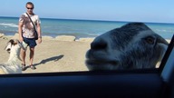 Spotkanie z tubylcami na Rodos