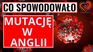 Co Spowodowało Mutację w Anglii.  Aleksander Haretski