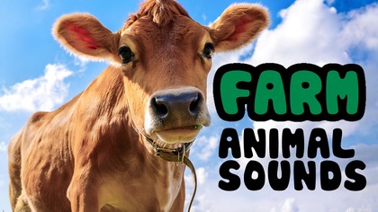 Farm Animal Sounds for Children (15 farm animals)