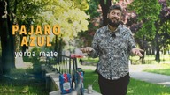 PAJARO AZUL yerba mate | Czajnikowy.pl