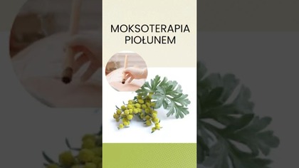 Moksoterapia Piołunem: Od Wirusów Po Bóle Ciała!