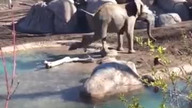 Niecodzienne zdarzenie w Zoo