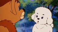 SIMBA KR&Oacute;L LEW | ODCINEK 21 | KAA ZMIENIA SK&Oacute;RĘ | SERIAL ANIMOWANY