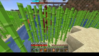 Witches #minecraft #game #gaming #Raid #Short #Shorts
