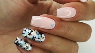 Holo Star  / Bluesky 80611