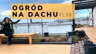OGRÓD na dachu  Projekt dużego tarasu na dachu w centrum Warszawy VLOG