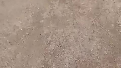 SZYMON 23 (Michał, Rybnik)