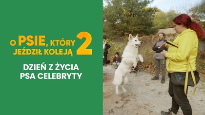 O PSIE, KTÓRY JEŹDZIŁ KOLEJĄ 2 | Dzień z życia psa celebryty | Kino Świat