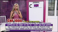 TVM3 - Sacré Jeu (Święta gra) - początek z 14 listopada 2020