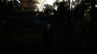Wiedźmin 3.  Panie lasu #7 4K 60 FPS