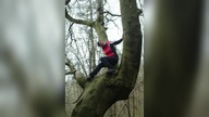 Haresfield Beacon - April 2019