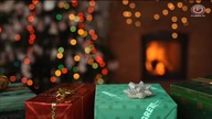 Great! Christmas - Ident stacji (07. 09. 2024)