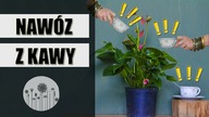 Jak wykorzystać FUSY PO KAWIE w domu i ogrodzie ?