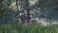 Glorious Summer. lektor