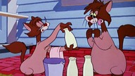 Pluto - Coś dla kot&oacute;w