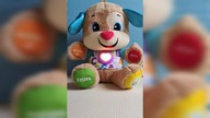 Szczeniaczek Uczniaczek Piosenki Dla Dzieci 2
