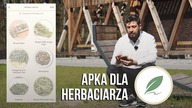 Apka na telefon dla herbaciarza: MyTeaPal.  Czajnikowy.pl