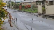 LiveLeak - Dumb on a motorcycle