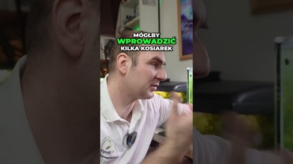  Jakie ryby jedzą glony ?  Ekipa czyszcząca do akwarium.  #akwarium #akwarystyka #glony