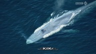 Olbrzymy z Ocean&oacute;w - Myśliciele z Głębin