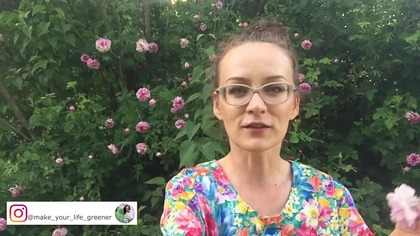 30 KOMPOZYCJI Z RÓŻAMI - pomysły na RÓŻANĄ RABATĘ