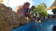 Palma Aquarium
