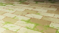 Tondemo Skill de Isekai Hourou Meshi 2 Ep.  6 MKissa