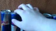 Typ Wali 6 Red Bullów