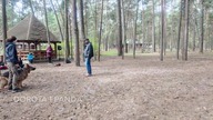 Panda przeszła kilka szkoleń.  Reaktywność została.  Co zrobiliśmy inaczej