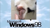 [Short WNR] : Windows 98 Dog Teeth Snap Edition