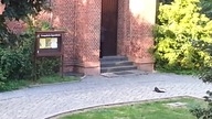 Pijany ksiądz