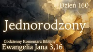 Jednorodzony | Ewangelia Jana 3,16 | Komentarz wers po wersie | Fabian Błaszkiewicz