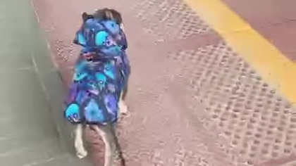 Co zabieram?, jak jadę pociągiem.