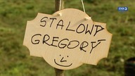 Stal Gorzów sadzi drzewa