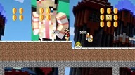 Mario Worker XXX Drollercaster World V3.5