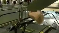 Blondynka na ruchomych schodach