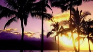 Goombay Dance Band - Sun Of Jamaica (EqHQ)