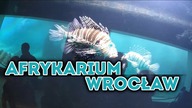 Afrykarium Wrocław Zoo #Podróże Amatora odc. 1